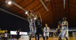 Serie B: I Tigers superano San Vendemiano al Carisport di Cesena
