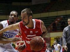 Mercato serie B: colpo Tigers, ingaggiato il jolly Matteo Frassineti
