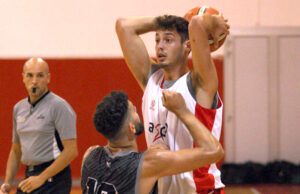C Gold: Allessandro Guidi confermato con i Knights