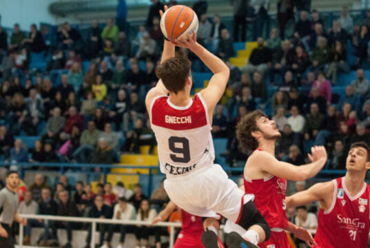 Serie B: il Basket Cecina conferma Francesco Gnecchi