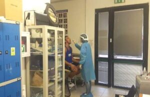 Serie C Silver: Tamponi gratuiti per tutti i tesserati della Vismederi Costone Siena
