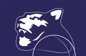 Serie B femminile: Le Panthers Roseto valutano la ripartenza in palestra