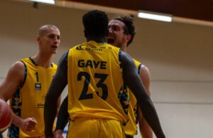 I Fiorenzuola Bees tornano a vincere e convincere: Sant’Antimo va ko al PalArquato per 85-64