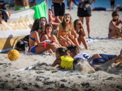 Una grande novità: nasce ufficialmente il Sand Basket Unificato. Gianpaolo Porfidia “Un passo importante”