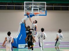 La Malvin Casoria è perfetta: San Severo battuta 83-64, ipotecati i play-in